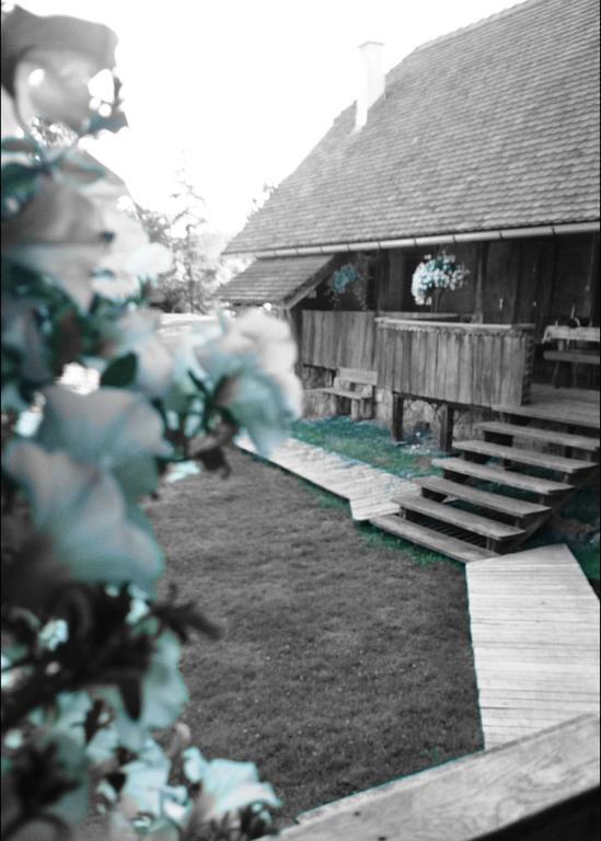 דוגה רסה Rustic Home Mia חדר תמונה