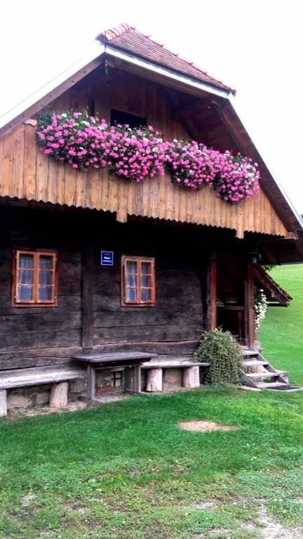 דוגה רסה Rustic Home Mia מראה חיצוני תמונה